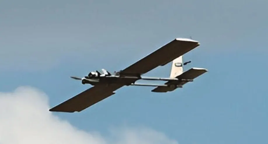 A dark plywood fixed-wing Molniya drone flying against a pale sky